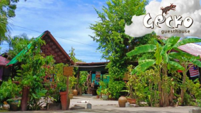 Gecko Guesthouse